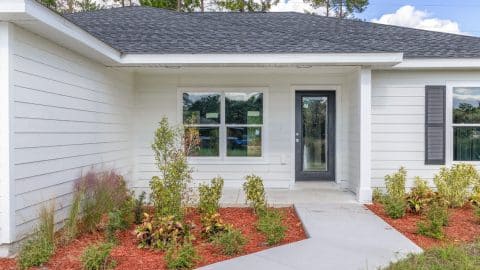 Orchid III Front Close Up